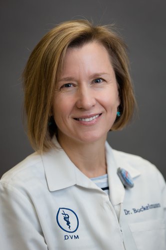 Dr. Karen Bockelmann